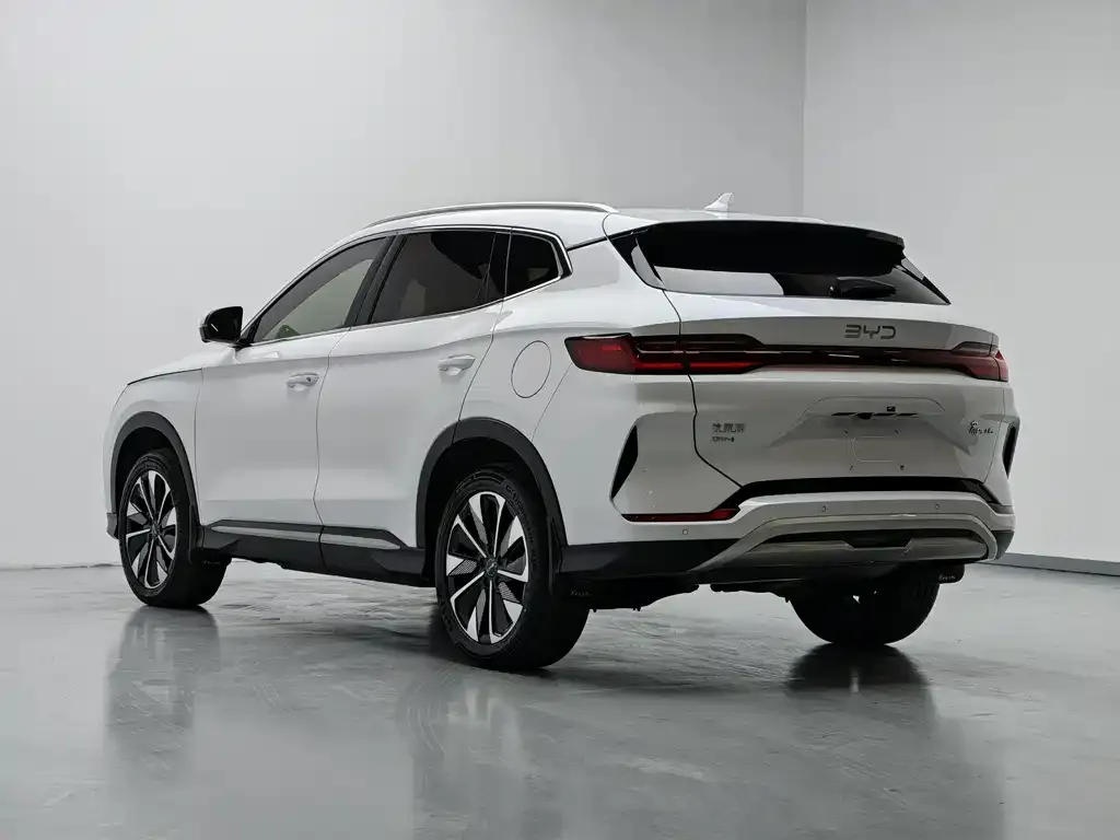 BYD PLUS New Energy — фото 5