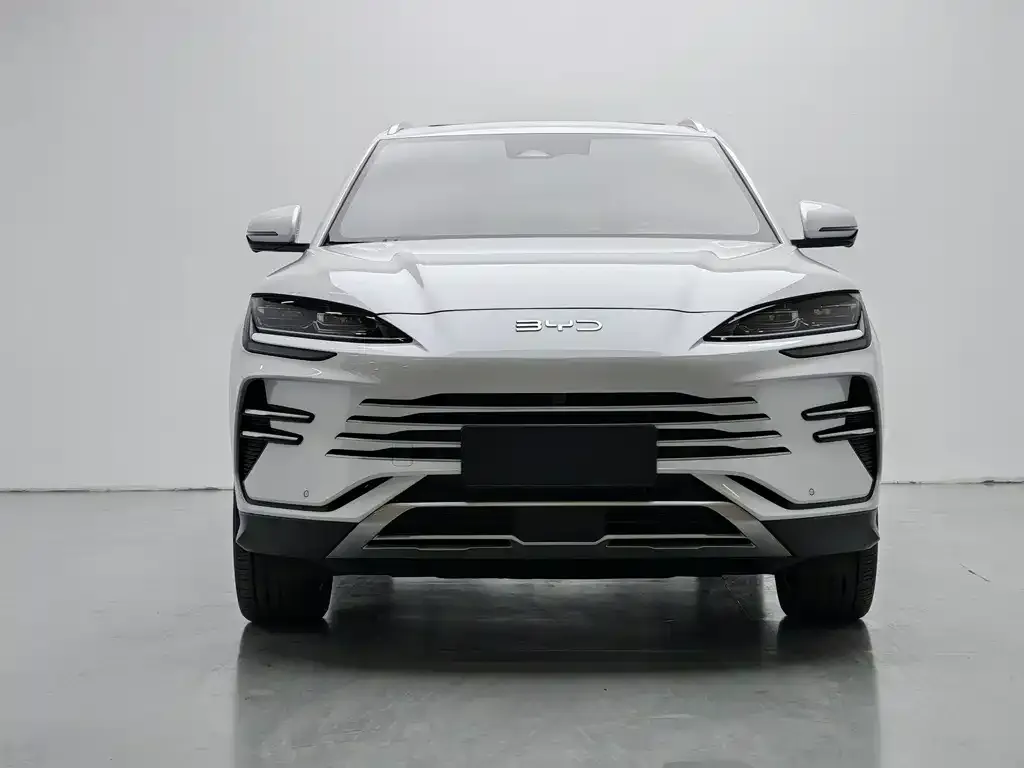 BYD PLUS New Energy — фото 4