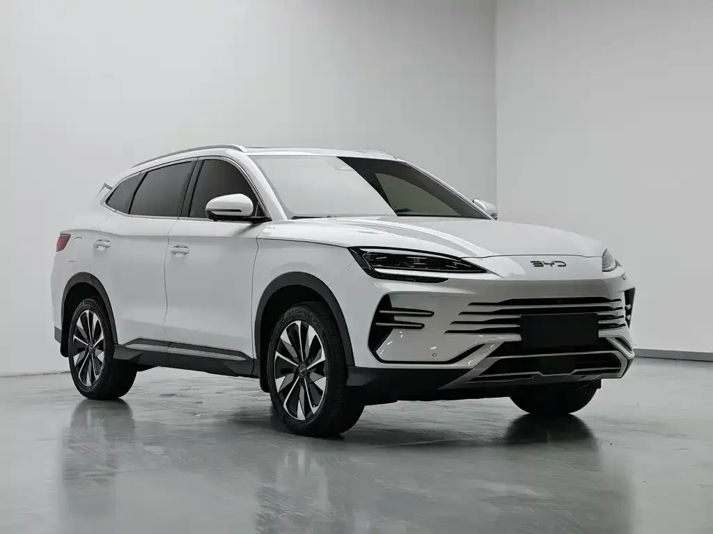 BYD PLUS New Energy — фото 6