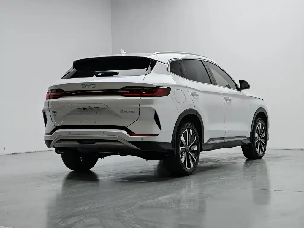 BYD PLUS New Energy — фото 3