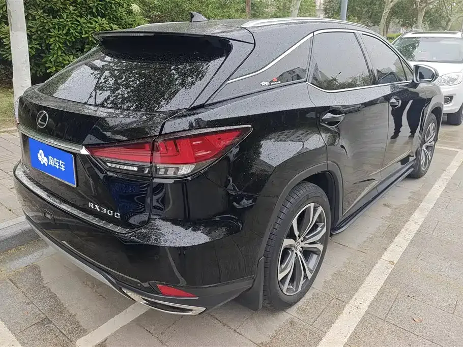 Lexus RX — фото 8