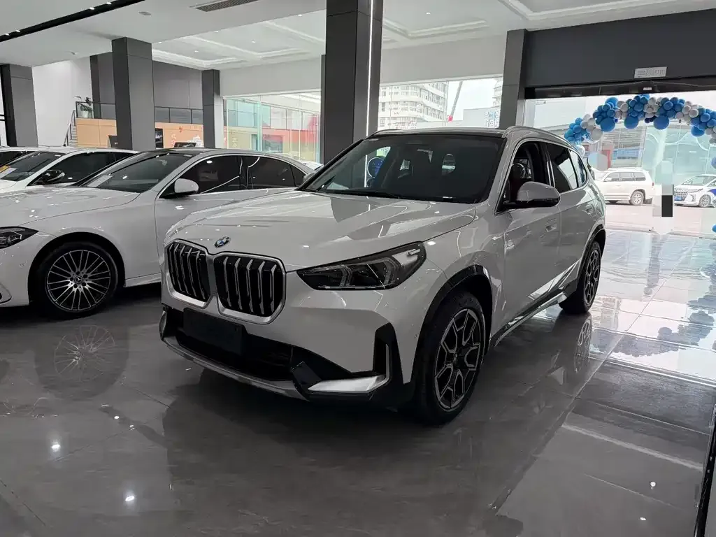 BMW X1 — фото 1
