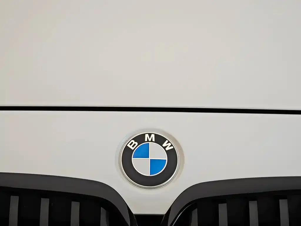 BMW 1 Series 2021 из CN, фото 2