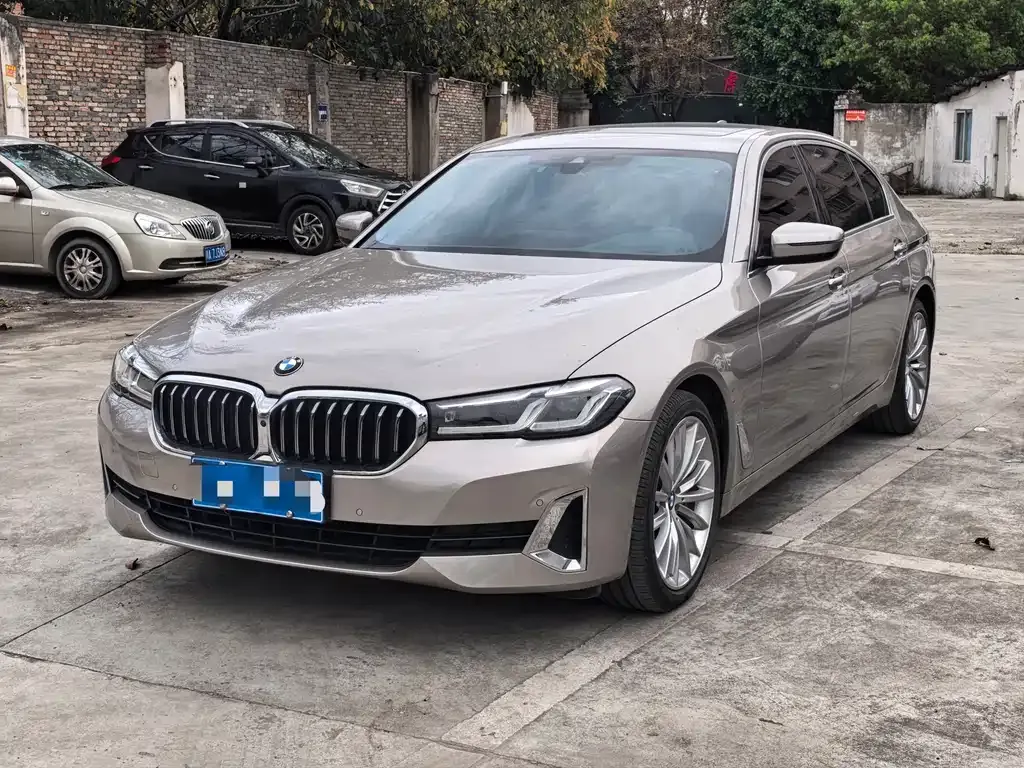 BMW 5 Series 2021 из CN, фото 1