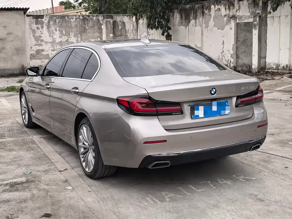 BMW 5 Series 2021 из CN, фото 9