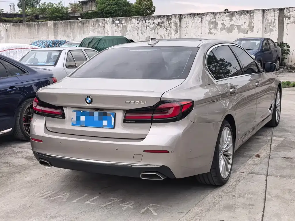 BMW 5 Series 2021 из CN, фото 6