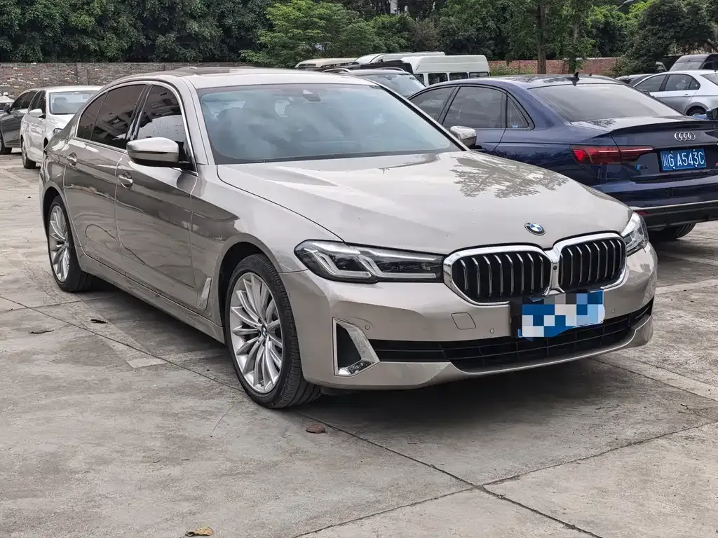 BMW 5 Series 2021 из CN, фото 8
