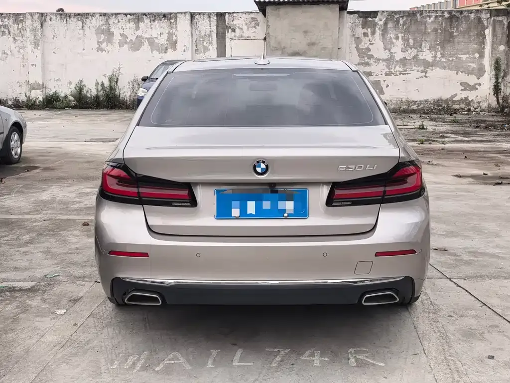 BMW 5 Series 2021 из CN, фото 3