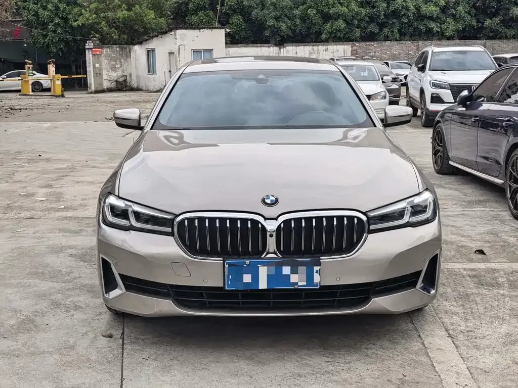 BMW 5 Series 2021 из CN, фото 7