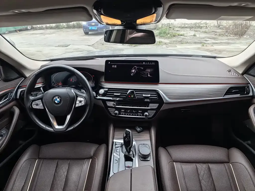BMW 5 Series 2021 из CN, фото 5