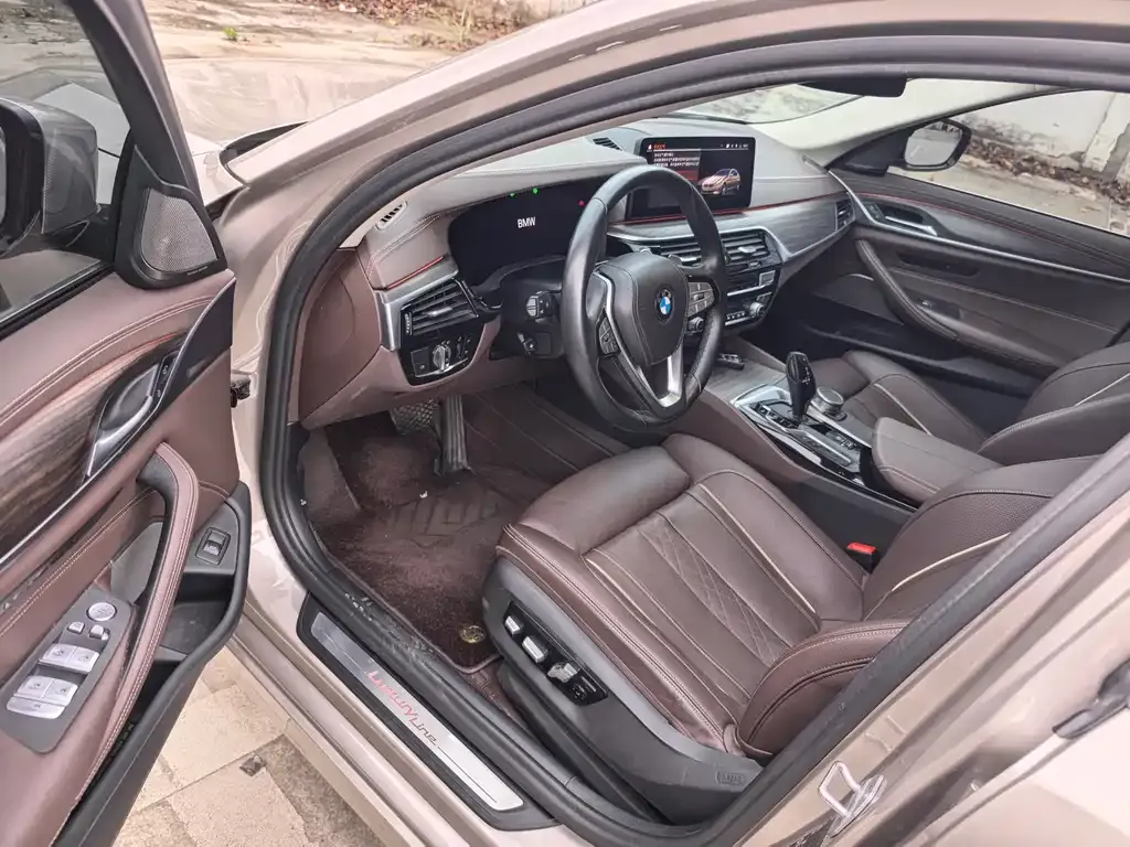 BMW 5 Series 2021 из CN, фото 4