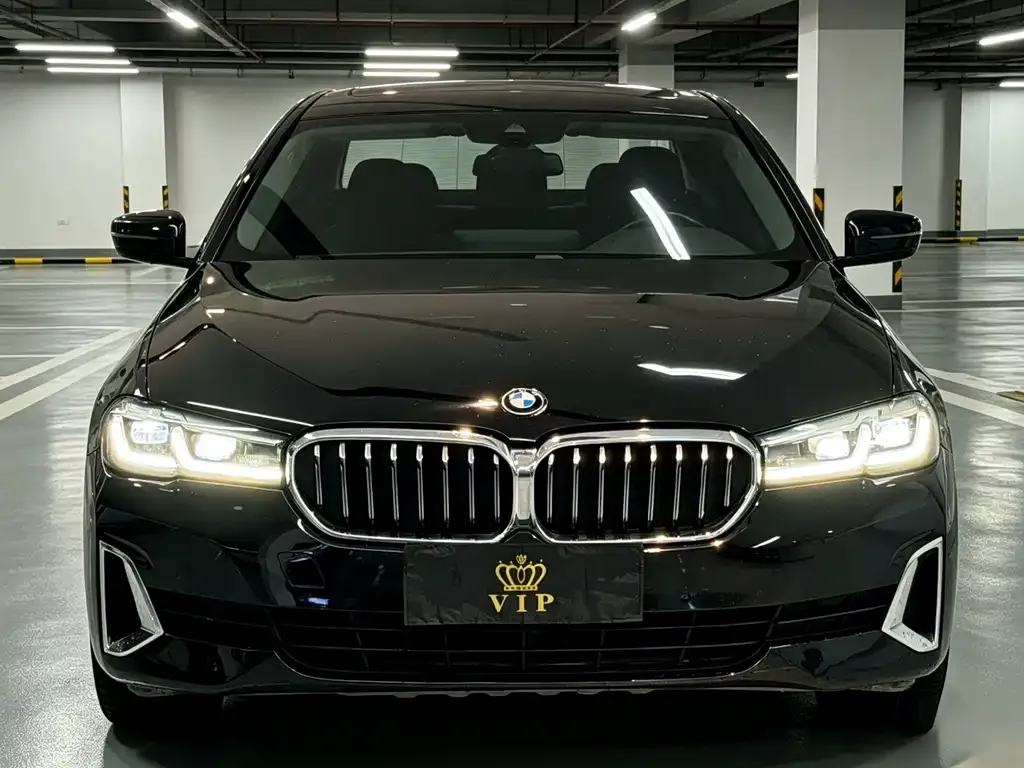 BMW 5 Series 2021 из CN, фото 2