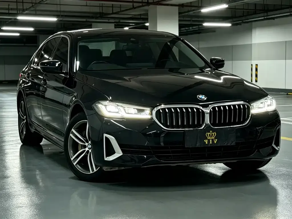 BMW 5 Series 2021 из CN, фото 7