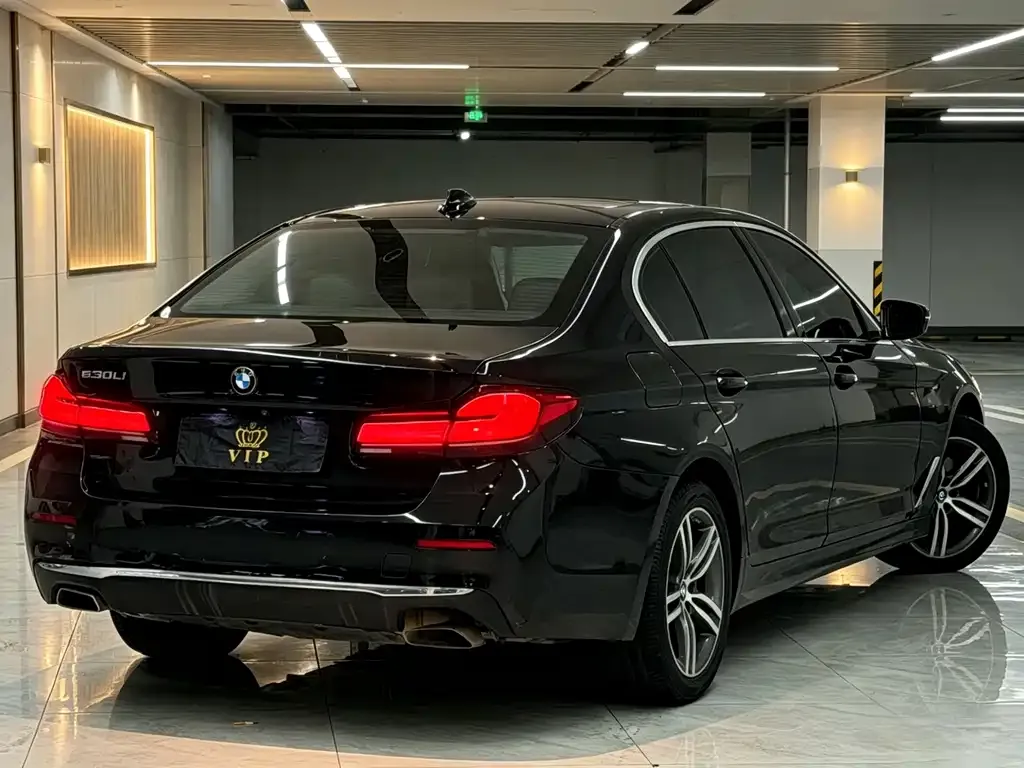 BMW 5 Series 2021 из CN, фото 4
