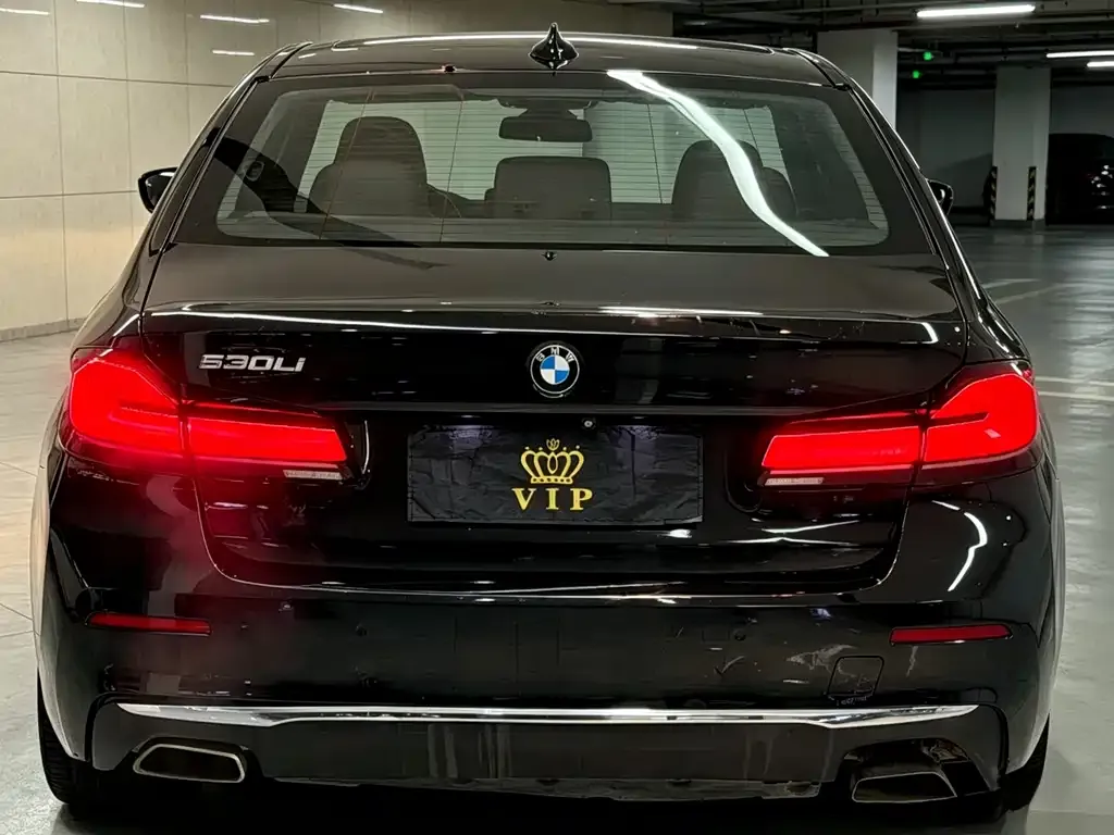 BMW 5 Series 2021 из CN, фото 9