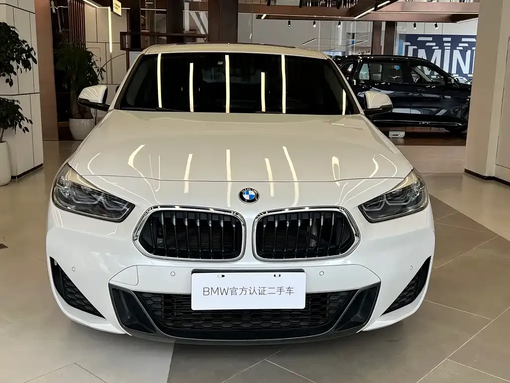 BMW X2 — фото 3