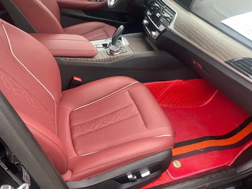 BMW 5 Series 2023 из CN, фото 4