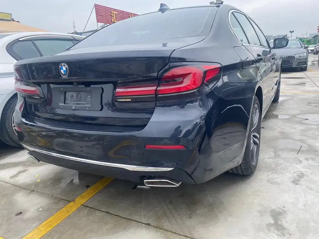 BMW 5 Series 2023 из CN, фото 5