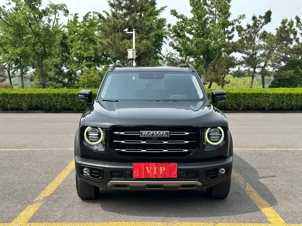 Haval Big Dog — фото 7