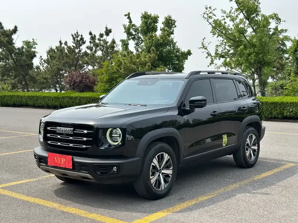 Haval Big Dog — фото 6