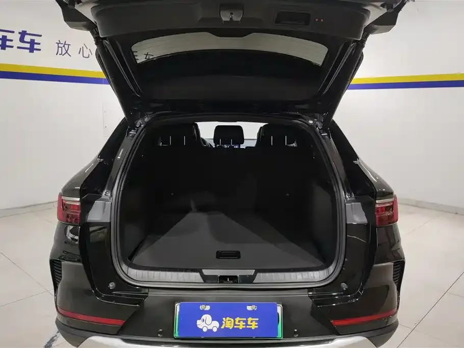 BYD PLUS New Energy — фото 7