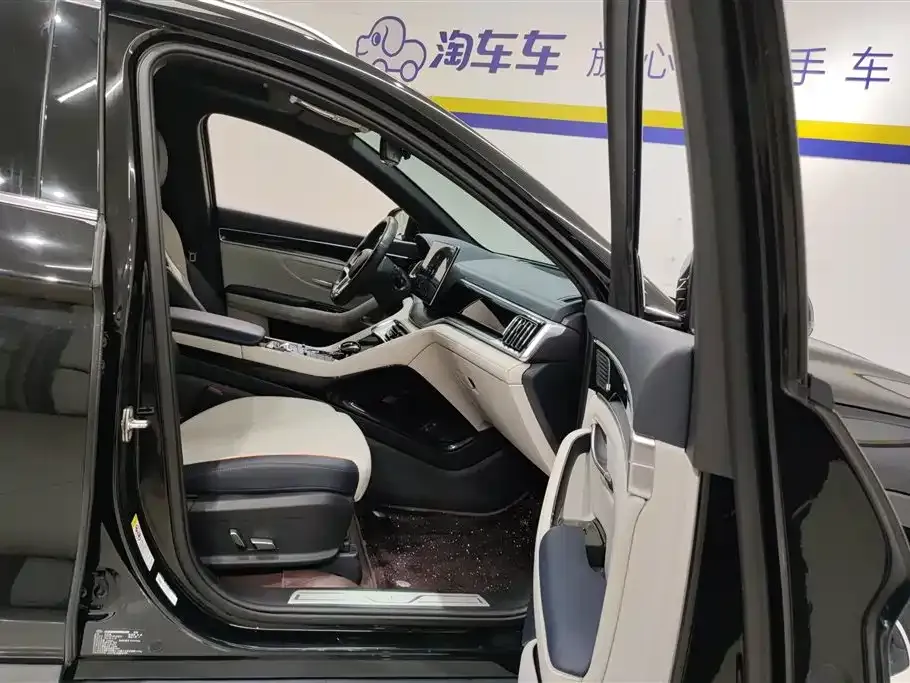 BYD PLUS New Energy — фото 8