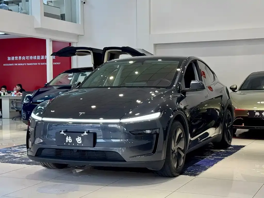 Tesla Model Y — фото 1