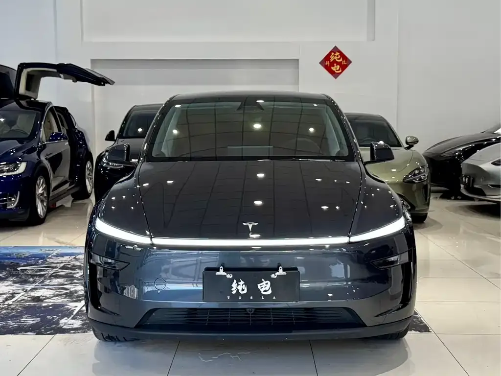 Tesla Model Y — фото 3