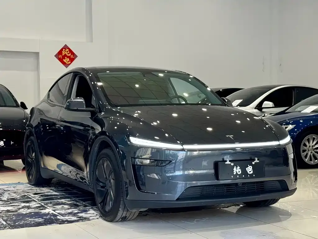 Tesla Model Y — фото 6
