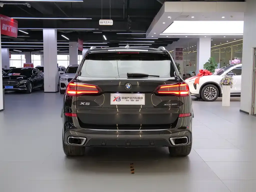 BMW X5 (Import) 2021 из CN, фото 8