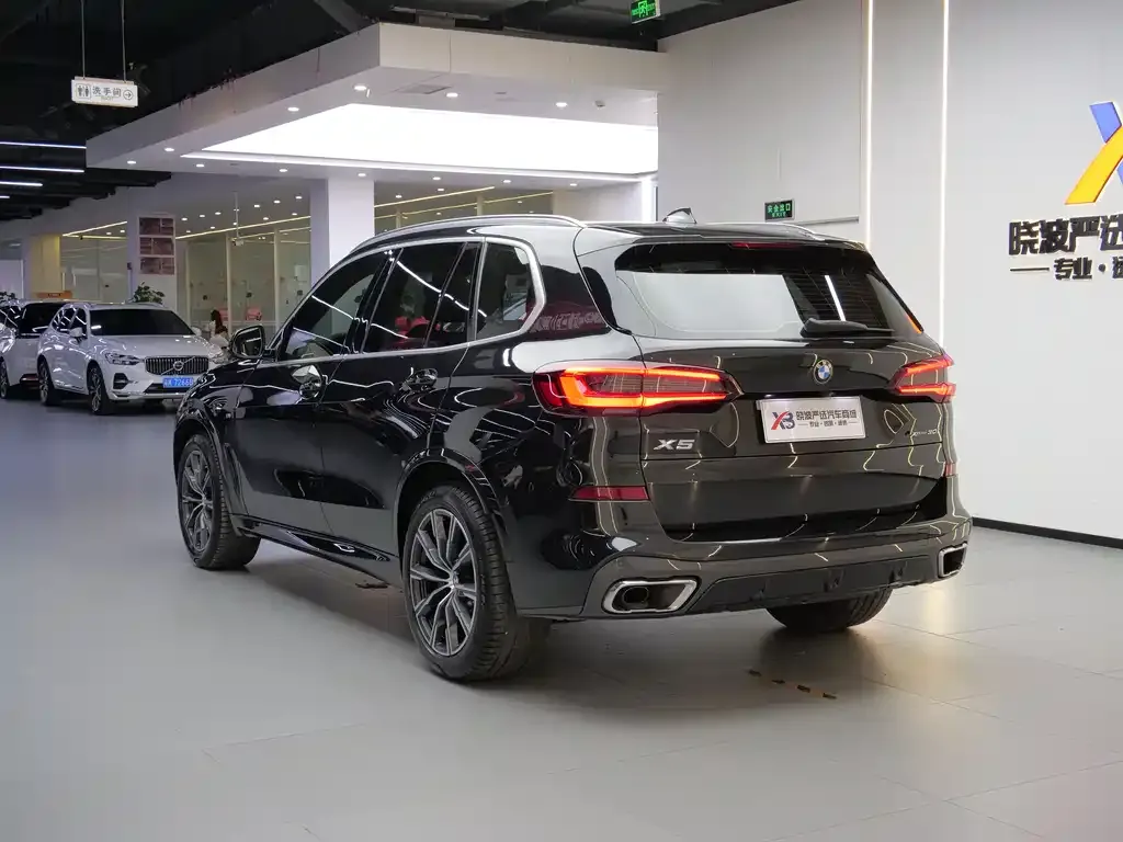 BMW X5 (Import) 2021 из CN, фото 6