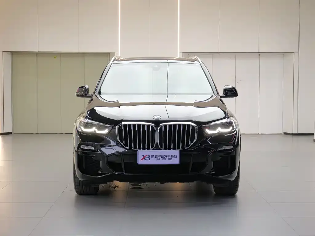 BMW X5 (Import) 2021 из CN, фото 2
