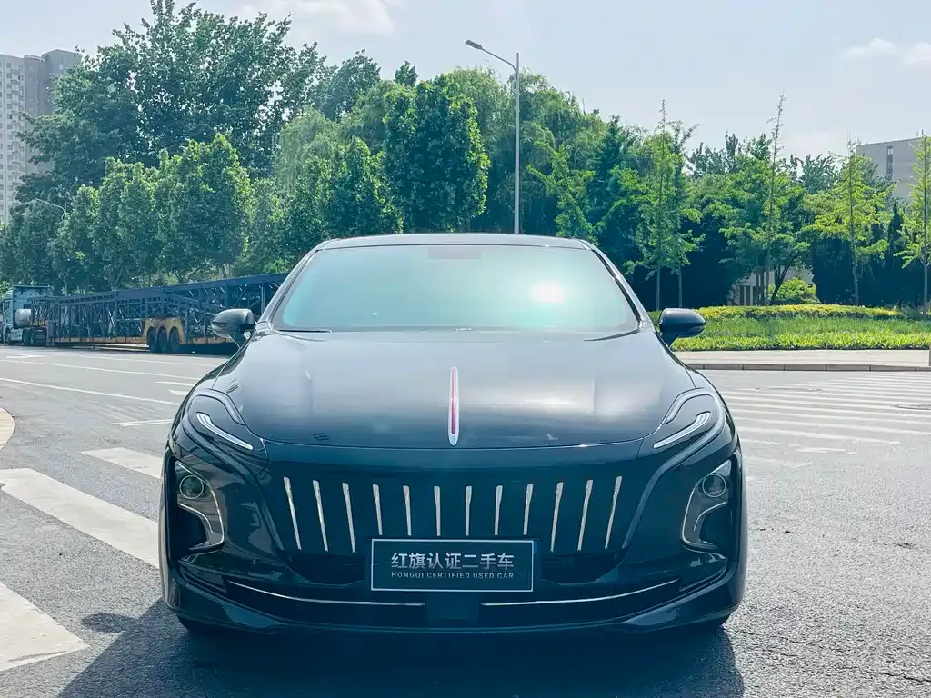 Hongqi E-QM5 — фото 10