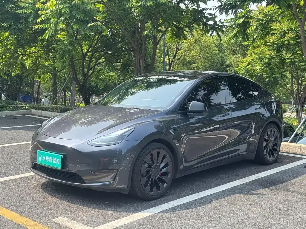 Tesla Model Y — фото 1