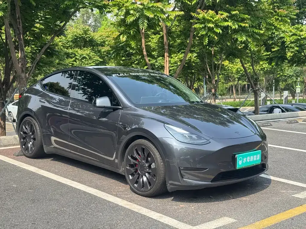 Tesla Model Y — фото 9