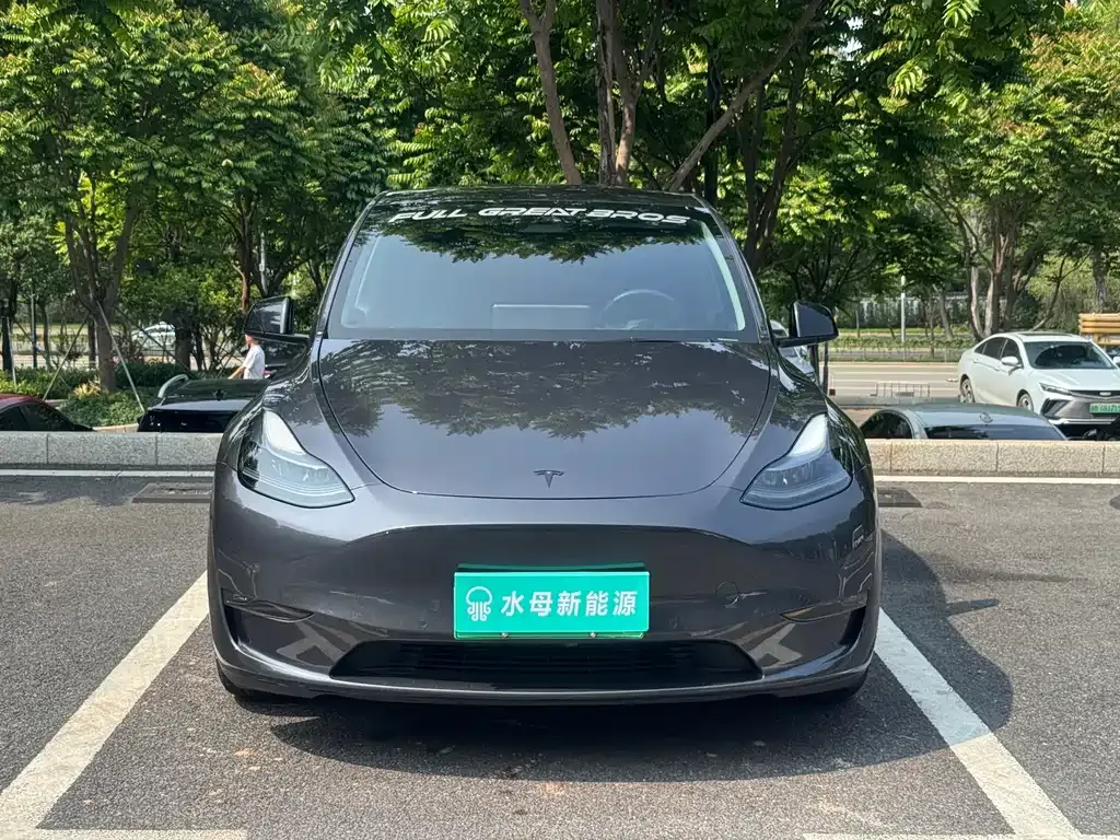 Tesla Model Y — фото 10