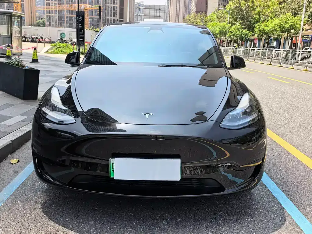 Tesla Model Y — фото 8