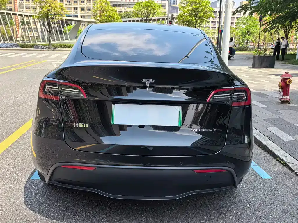 Tesla Model Y — фото 3