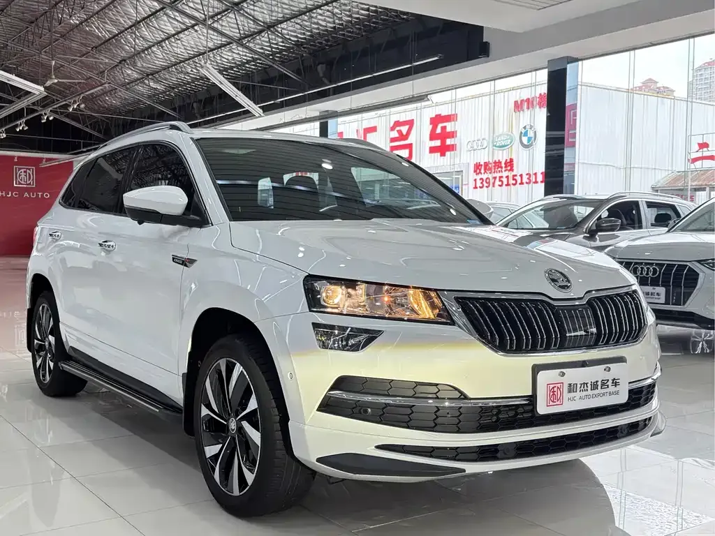 Skoda Karoq — фото 8