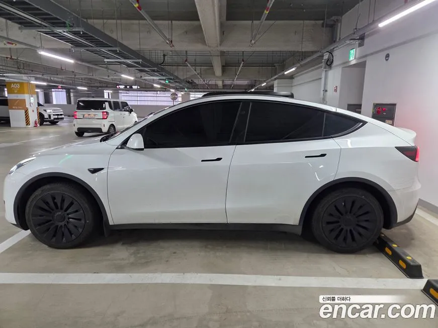 Tesla Model Y — фото 6