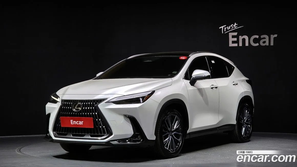 Lexus NX 2025 из KR, фото 1