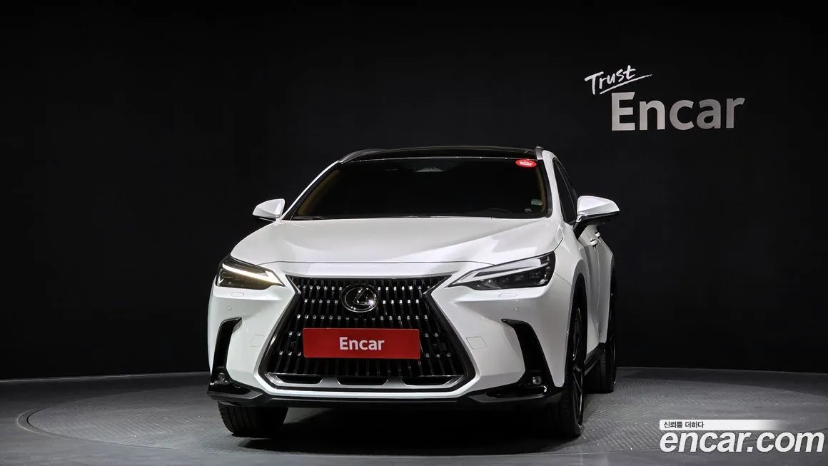 Lexus NX 2025 из KR, фото 7