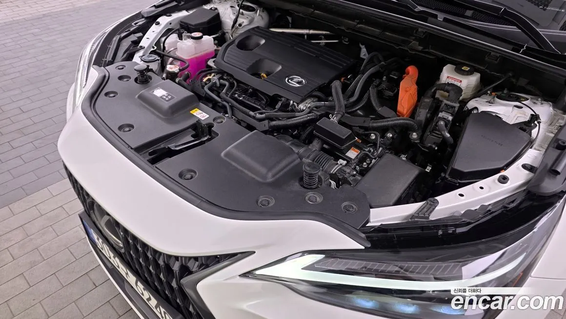Lexus NX 2025 из KR, фото 5