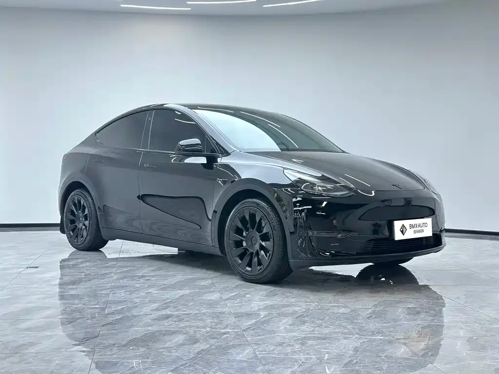 Tesla Model Y — фото 6
