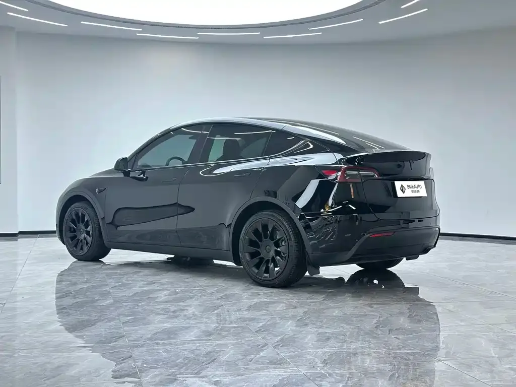 Tesla Model Y — фото 10