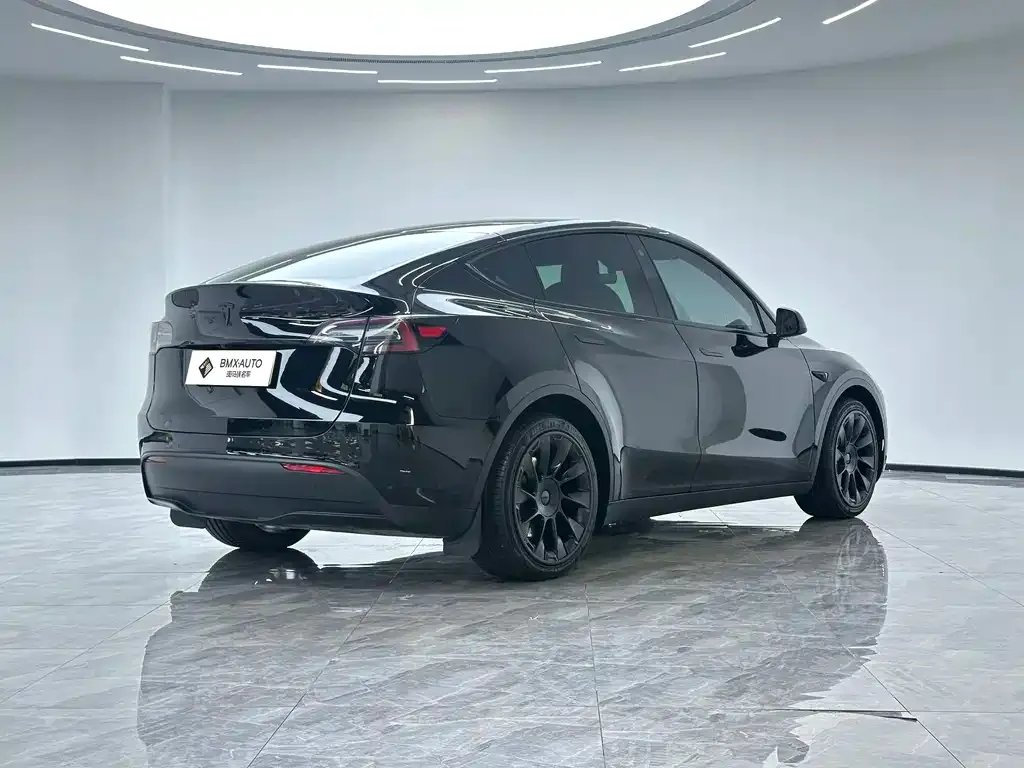 Tesla Model Y — фото 5
