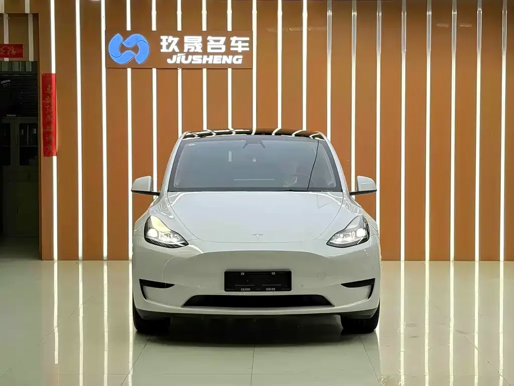Tesla Model Y — фото 2
