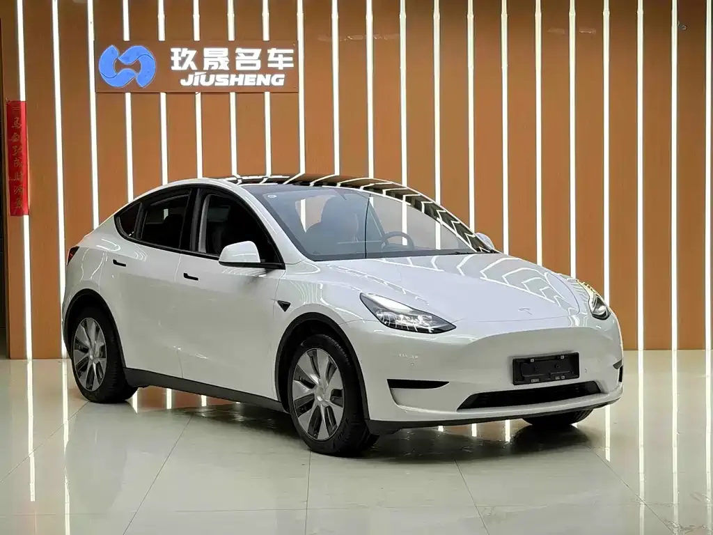 Tesla Model Y — фото 7