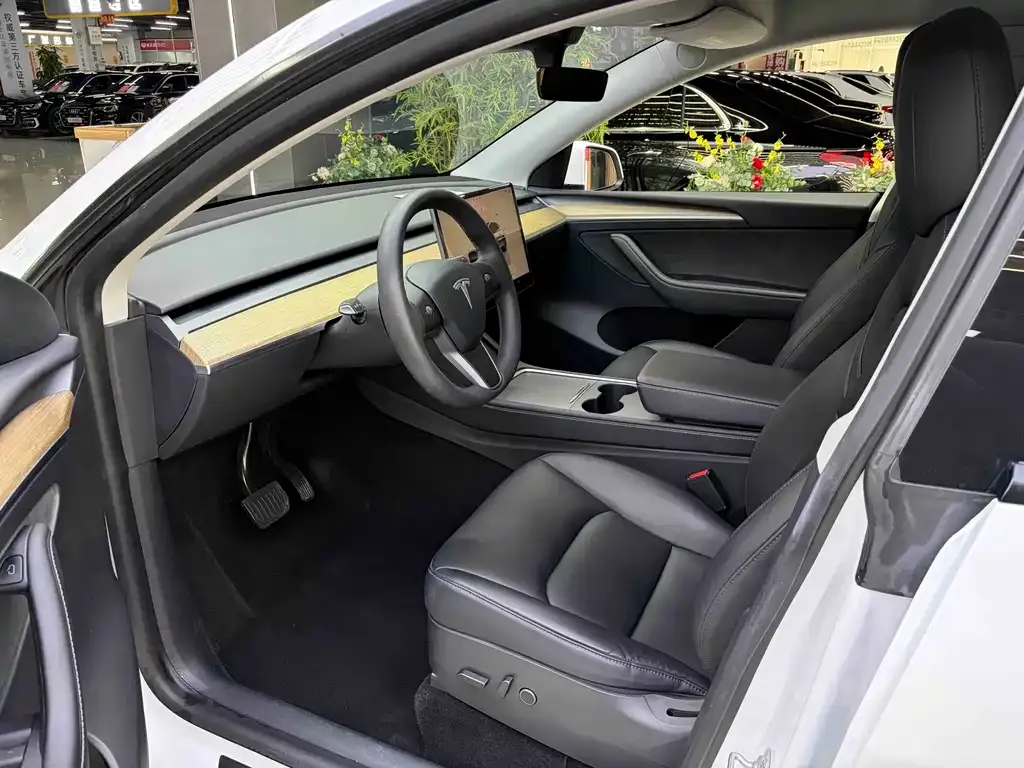 Tesla Model Y — фото 8