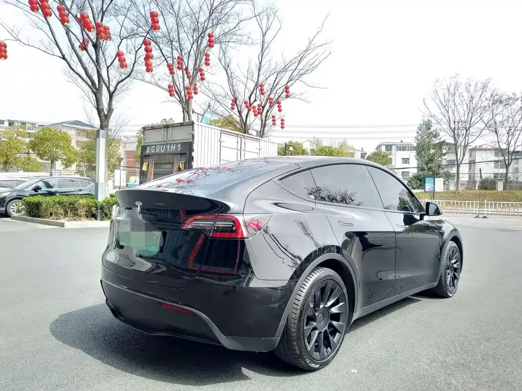 Tesla Model Y — фото 9